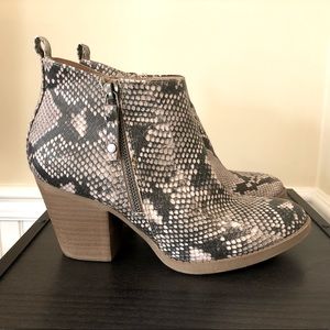 Snakeskin Booties
